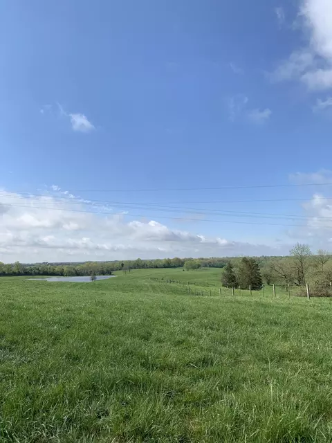 1251 Nevins Station Rd, Lawrenceburg, KY 40342