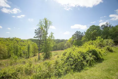 215 Mcdowell Rd, Burnside, KY 42519 photo 10