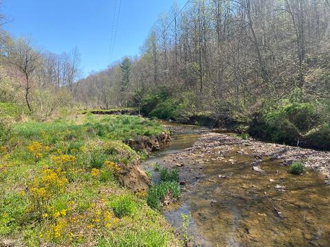 tbd Vacant Land, West Liberty, KY 41472