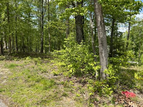 355 Woodland Dr, Monticello, KY 42633