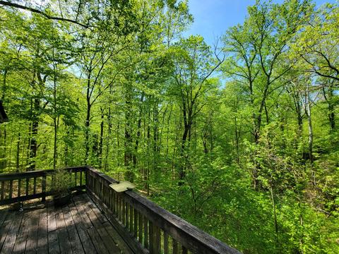 255 Everett Ln, Nancy, KY 42544 photo 20