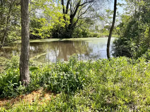 849 Mt Tabor Rd, Ewing, KY 41039 photo 6