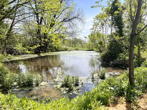 849 Mt Tabor Rd, Ewing, KY 41039 photo 5