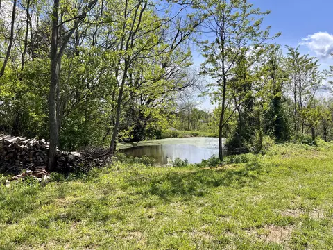 849 Mt Tabor Rd, Ewing, KY 41039 photo 7