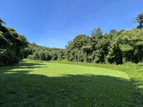 999 Bailey Hollow Rd, Gray, KY 40734 photo 3