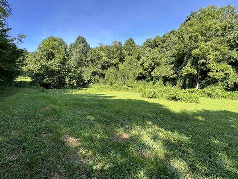 999 Bailey Hollow Rd, Gray, KY 40734 photo 2