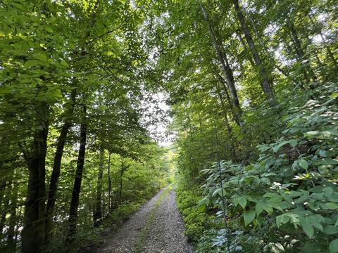 999 Bailey Hollow Rd, Gray, KY 40734 photo 6