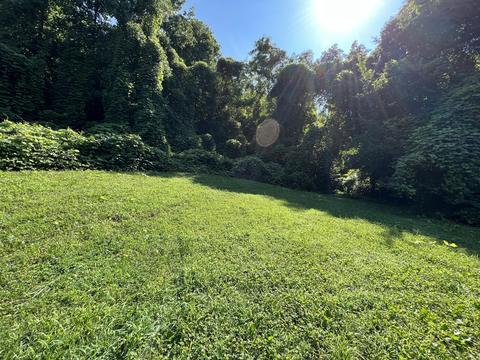 999 Bailey Hollow Rd, Gray, KY 40734 photo 5