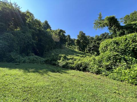 999 Bailey Hollow Rd, Gray, KY 40734 photo 4