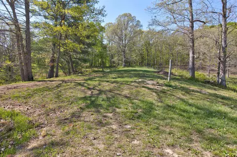 2278 E Fork Rd, Means, KY 40346 photo 15