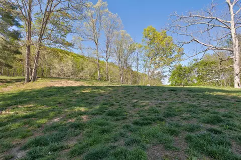 2278 E Fork Rd, Means, KY 40346 photo 16