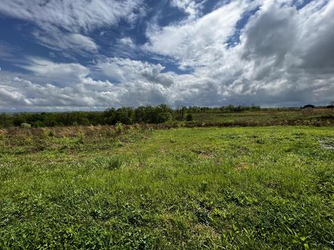 Lot #6 Hickey Road, Sharpsburg, KY 40374