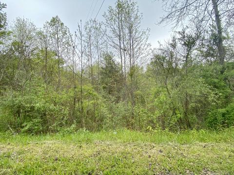 0 Lost Hill Rd, Clearfield, KY 40313