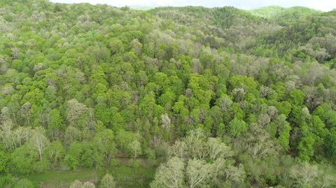 0 Cool Springs Rd, Manchester, KY 40962