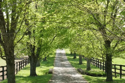 1901 Ferguson Rd, Lexington, KY 40511