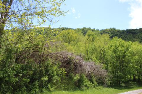 1874 Moores Creek Rd, Walker, KY 40997