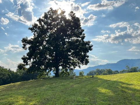 00 Willow St, Middlesboro, KY 40965