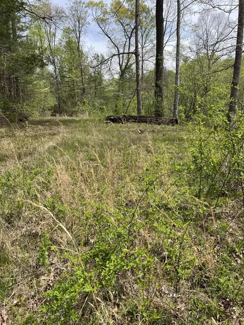 255 Page Hollow Rd, Campton, KY 41301 photo 48