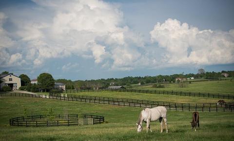 4435 Leestown Rd, Lexington, KY 40511
