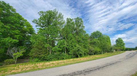 lot3536 Burton Subdivision Rd, Nancy, KY 42544