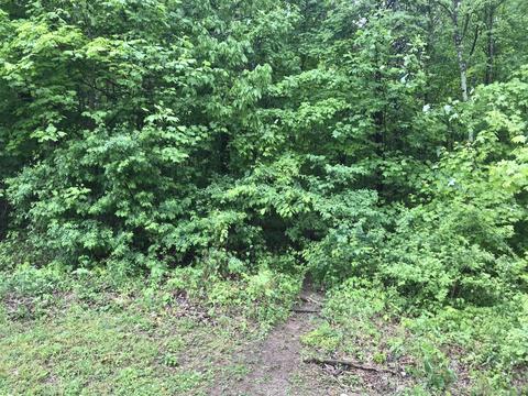 999 Fox Hill Dr, Mount Vernon, KY 40456