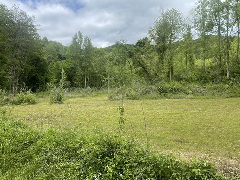 9999 Old Stinking Creek Rd, Flat Lick, KY 40935