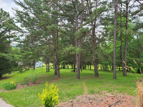 69 Ridge Rd, Nancy, KY 42544 photo 59
