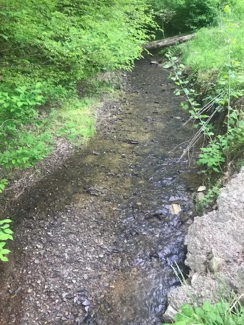 1 Jb Buttery Rd, London, KY 40741