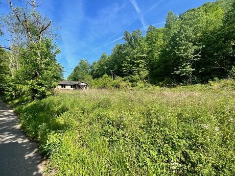 Tract 1 Hoods Fork Lane, Mcdowell, KY 41647