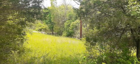 1473 Norville Rd, Pendleton, KY 40055 photo 28