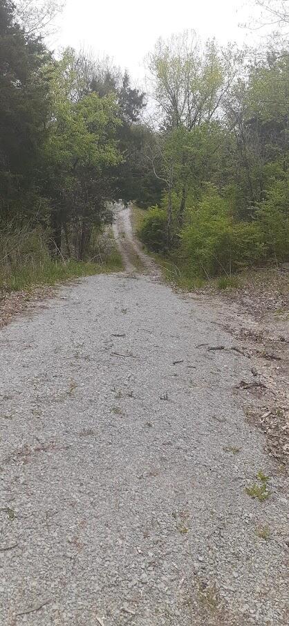 1473 Norville Rd, Pendleton, KY 40055 photo 23