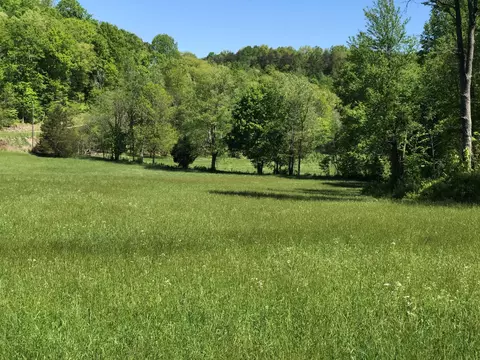 0 Chesnut Grove Rd, Monticello, KY 42633