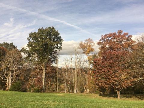 lot38 Splendor View Dr, Somerset, KY 42503