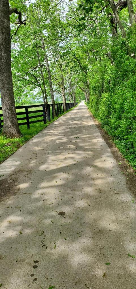 5486 Dedman Ln, Lexington, KY 40513