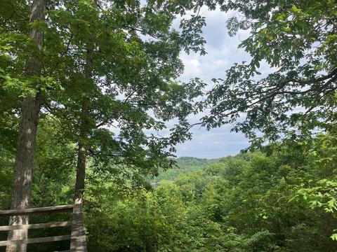 209 Valley View Dr, Nancy, KY 42544 photo 14
