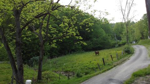 1683 Buckeye Branch Rd, Flat Lick, KY 40935