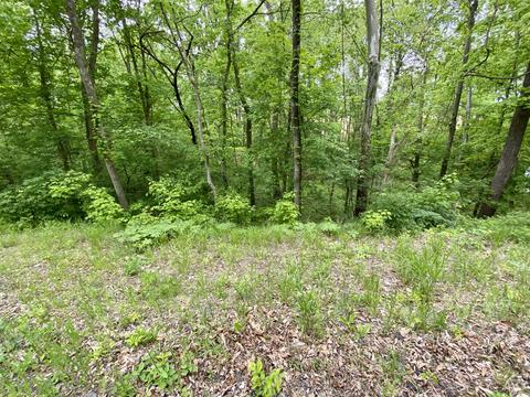 0 Olaton Rd, Caneyville, KY 42721