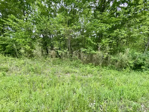 76 Lafayette Rd, Caneyville, KY 42721