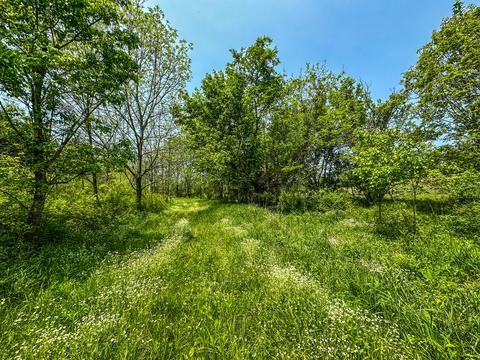 1 Cincinnati Pike # a, Georgetown, KY 40324 photo 12