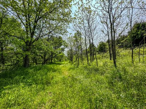 1 Cincinnati Pike # a, Georgetown, KY 40324 photo 5