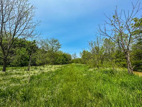 1 Cincinnati Pike # a, Georgetown, KY 40324 photo 11