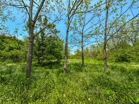 1 Cincinnati Pike # a, Georgetown, KY 40324 photo 9