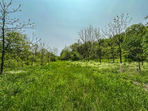 1 Cincinnati Pike # a, Georgetown, KY 40324 photo 8