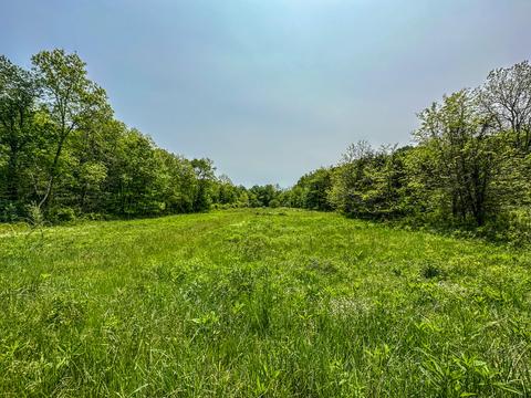 1 Cincinnati Pike # a, Georgetown, KY 40324 photo 10