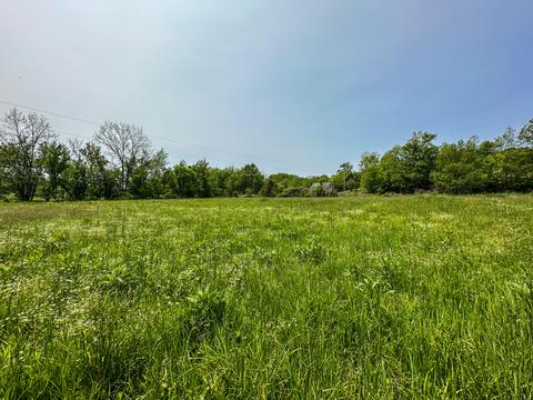 1 Cincinnati Pike # a, Georgetown, KY 40324 photo 2