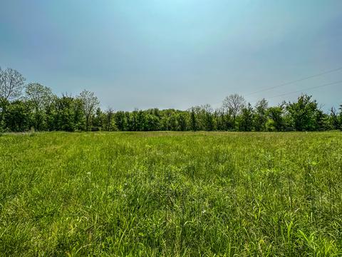 1 Cincinnati Pike # a, Georgetown, KY 40324 photo 3