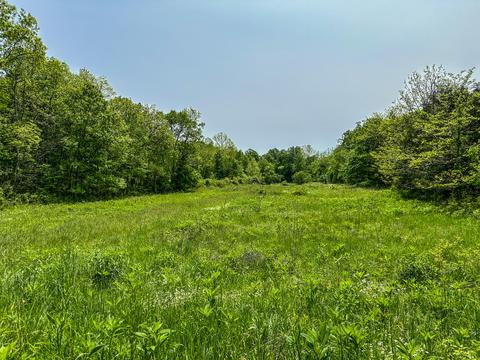 1 Cincinnati Pike # a, Georgetown, KY 40324 photo 7