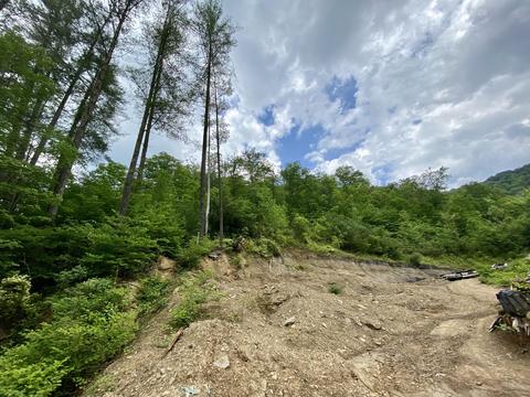 0 Pinsonfork Rd, Mcandrews, KY 41543