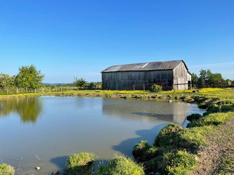 900 Perkins Ln, Lancaster, KY 40444