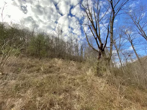 1344 Potato Branch Rd, Topmost, KY 41862